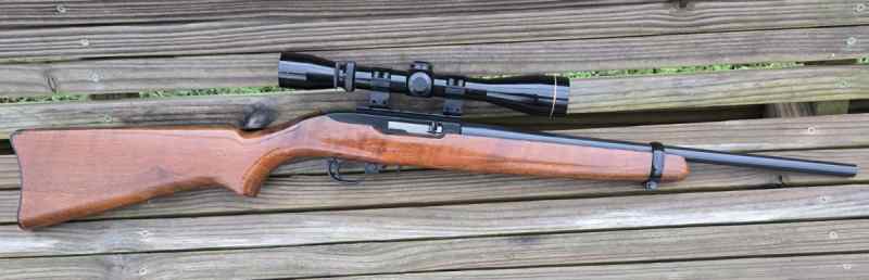 Ruger 10/22 With Leupold Scope