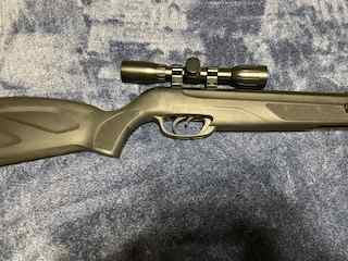 Gamo Wildcat Whisper 22cal