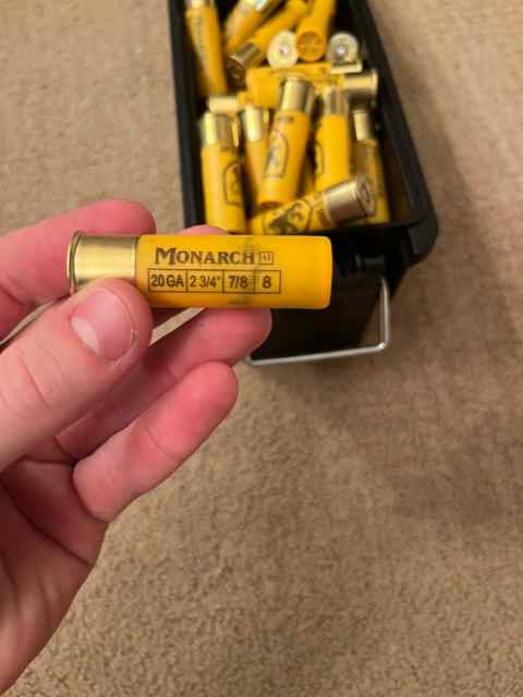 20G Monarch Shells