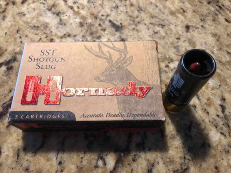 Hornady SST-1.jpg