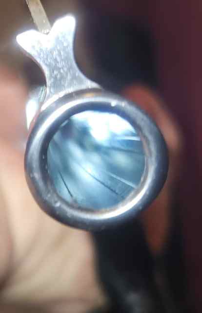20250415_062336.jpg