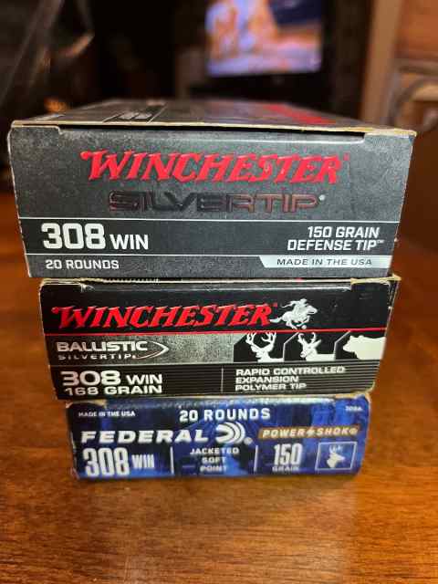 308 Rounds 