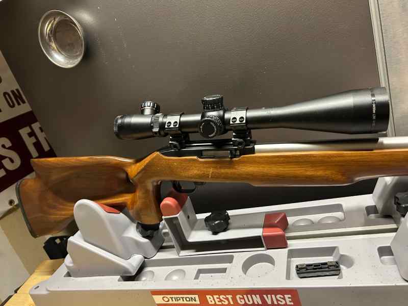 Ruger 10/22 Bull Barrel