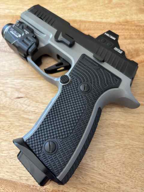 P320 AXG Carry w/ holster, 4x mags and red dot