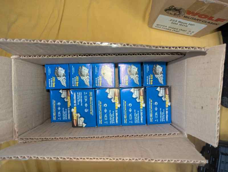 PXL_20250713_214613247.jpg