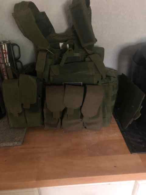 Carrier vest 