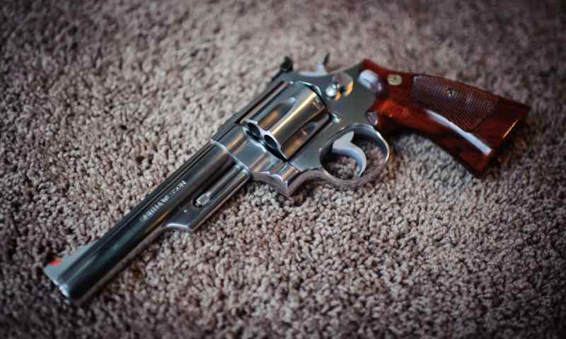 44-MAGNUM, 629-1 6-inch barrel INCREDIBLE GRIPS