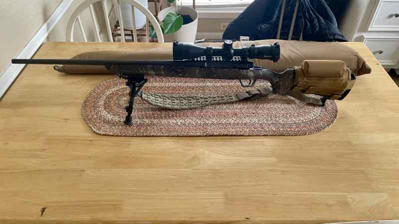 Savage Axis .308