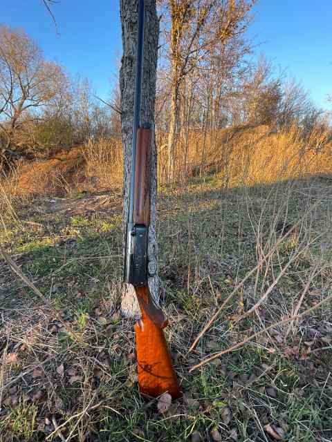 BROWNING AUTO 5 12Gauge