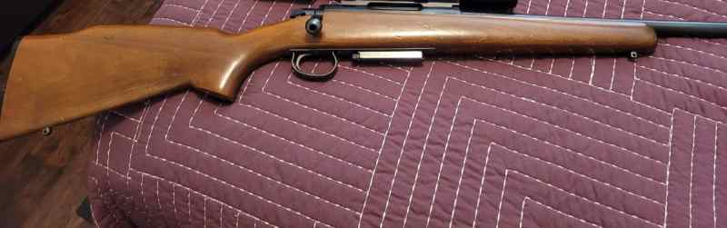 Remington model 788 .308 Win