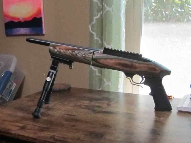 Ruger Charger 10-22 Takedown