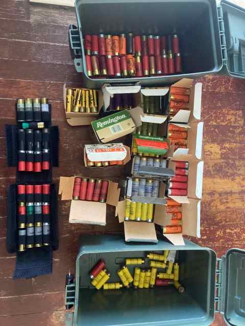 12g&amp;20g ammo bulk