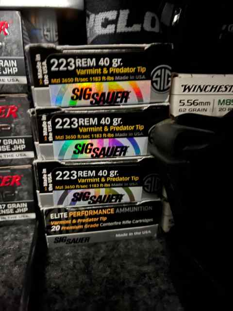 Sig Sauer Varmint and Predator .223 Ammo