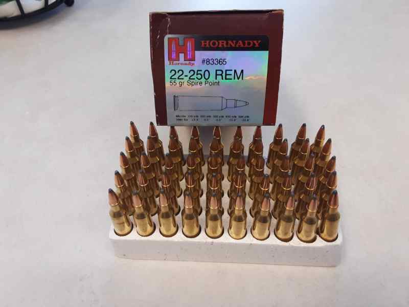 WTS 22-250 ammunition