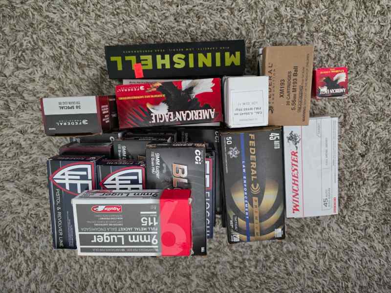 Lots of Ammo for Sale