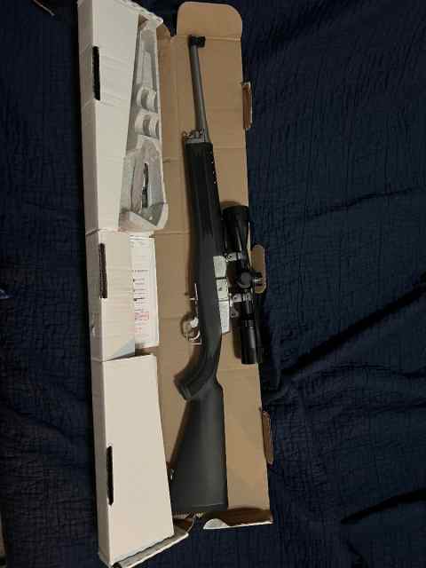 Ruger mini14 ranch ss 