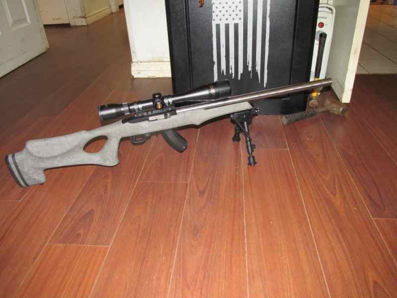 Ruger 10 22 STAINLESS Target