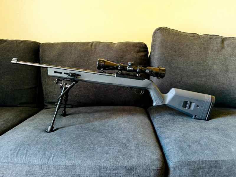 Ruger 10/22 with Extras