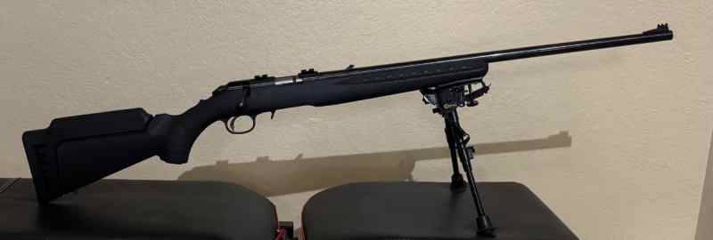 Ruger 17hmr