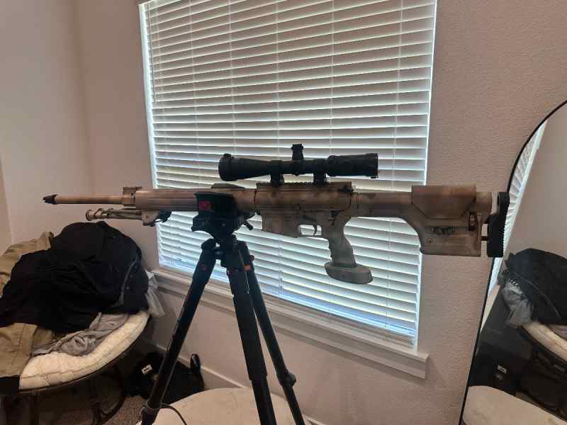 DPMS LR308 SASS