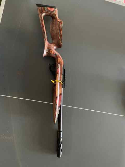 Ruger 10/22 with SB-X barrel and Boyd - Tactical