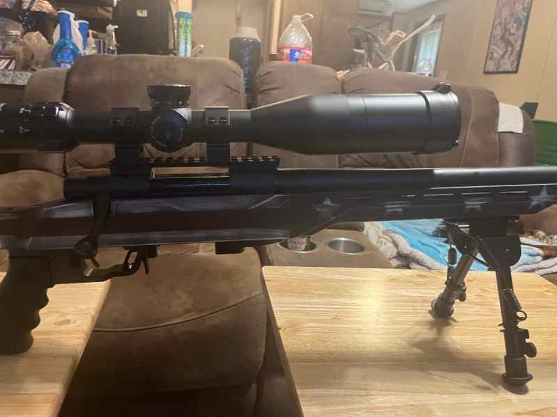 Howa 308 tspx chassis 