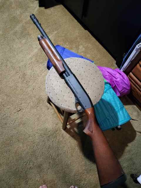 Remington 870 express magnum