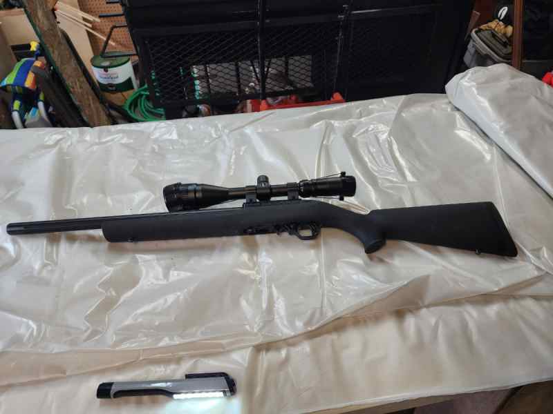 Ruger 10/22