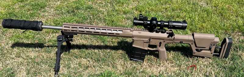 AR10 .308