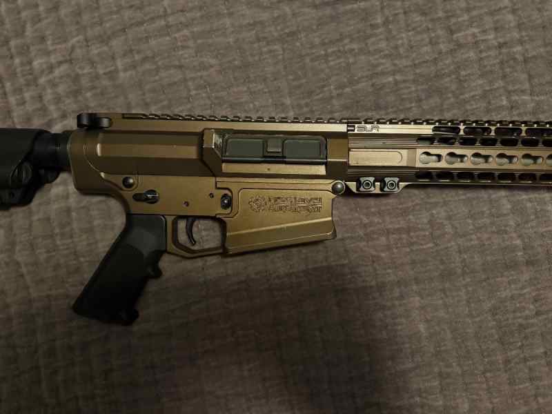 WTS AR10 (308) 