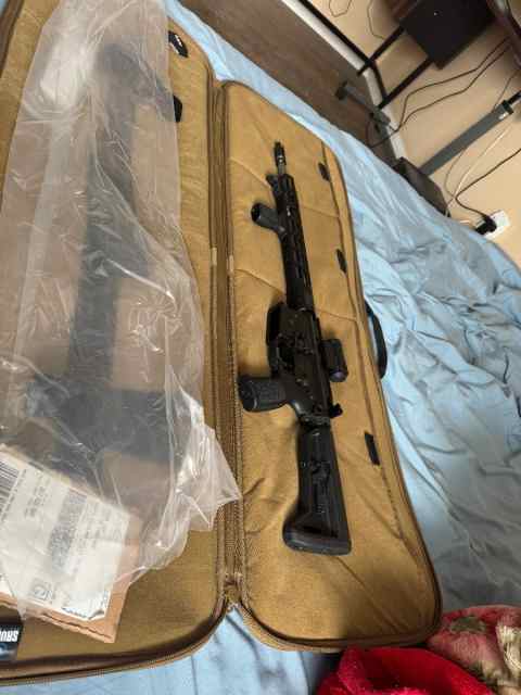 Sig AR