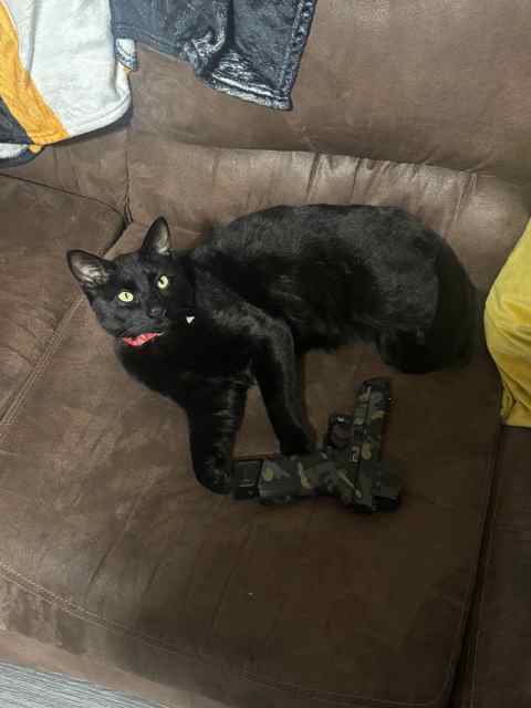 WTB TTI/SLR G19 GEN 5 accessories 