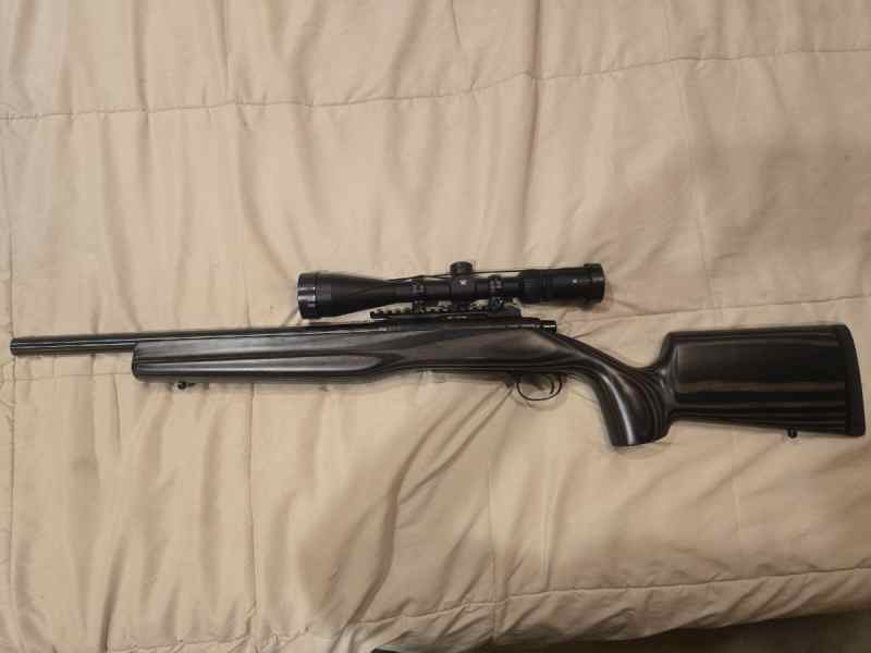 Remington 700 .308