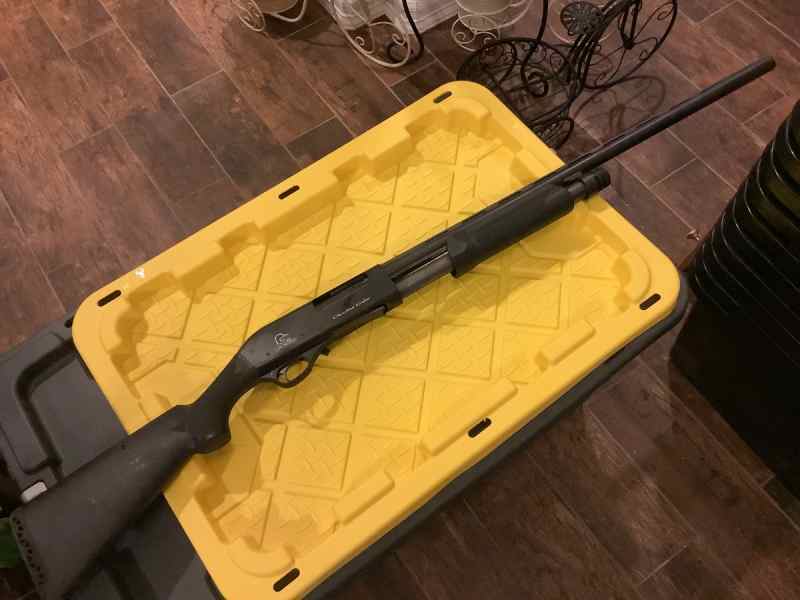 Charles Daly 12ga