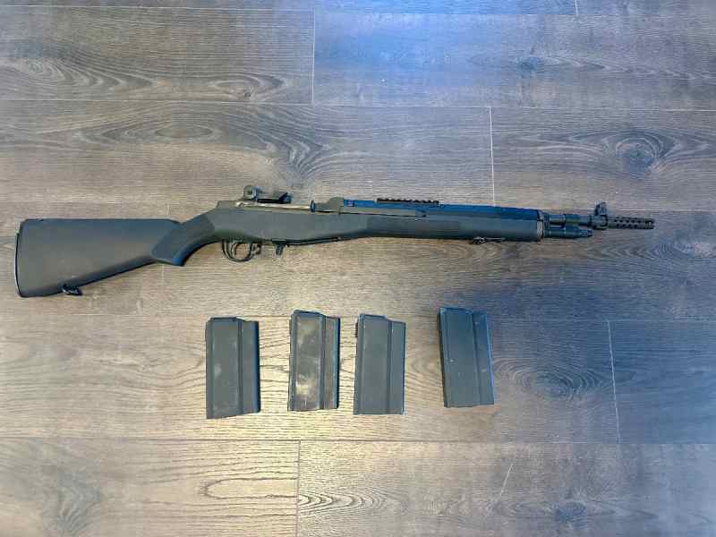 Springfield M1A Scout Squad