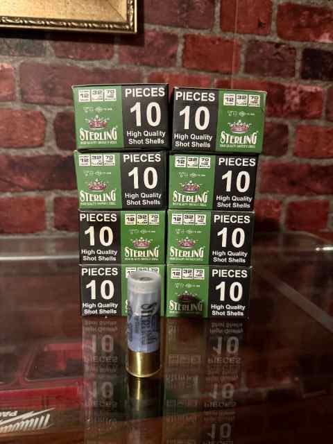 12 gauge slugs