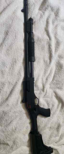 12ga winchester sxp