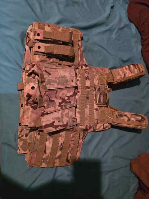 New plate carrier with plates
