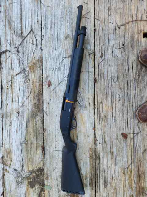 Cz hone defense shotgun hillsboro 