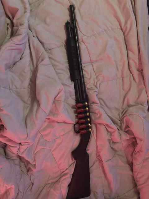 12g shotgun