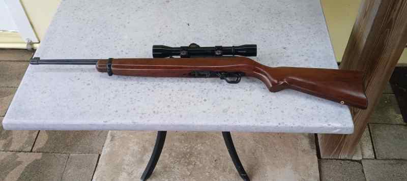 RUGER 10-22 WITH 4 POWER BUSHNELL SCOPE