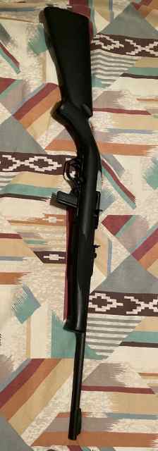 Mossberg 702 plinkster 22