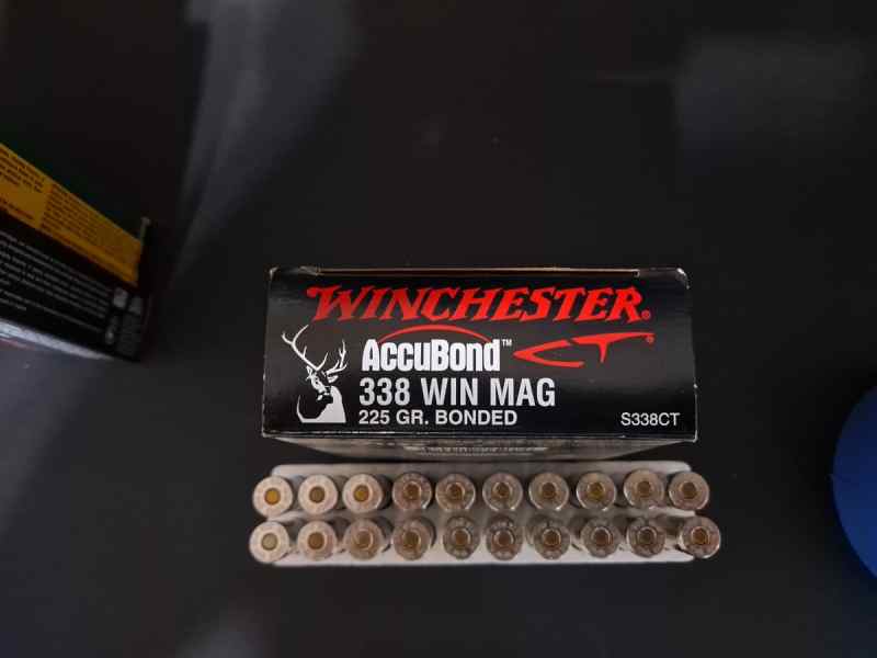 Winchester 338 win mag 225gr