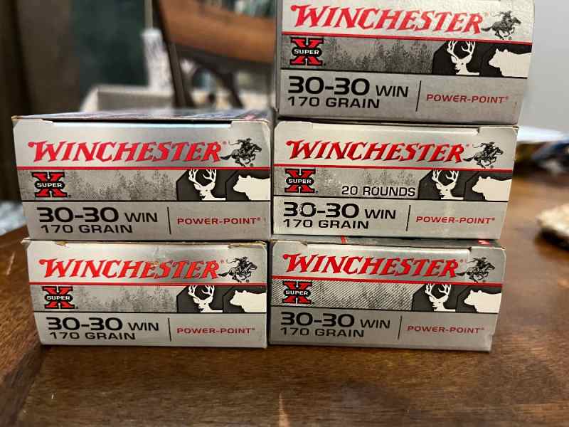 Winchester 270 grain 30/30 Shells 